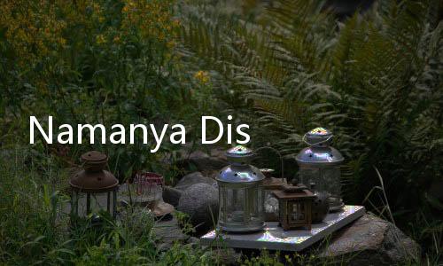 Namanya Disinggung Gibran, Tom Lembong Ungkap 7 Tahun Buat Contekan Pidato Jokowi